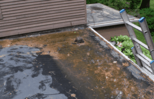 Roof problems and Solution