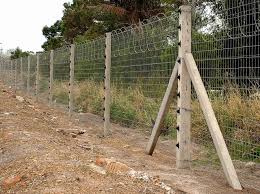 Top 6 Types of Fencing Solution!! Securing your Home 2 Types of Fencing Types of fences