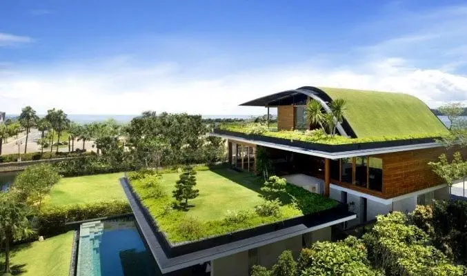 Green roof detail