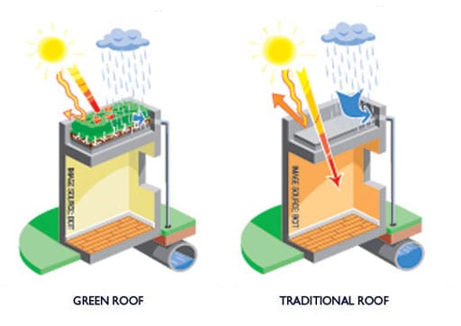 What is a green roof?