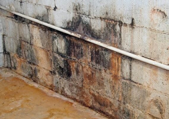 Types of Damp| Causes of Dampness |  Effects of Dampness in the Building | DPC