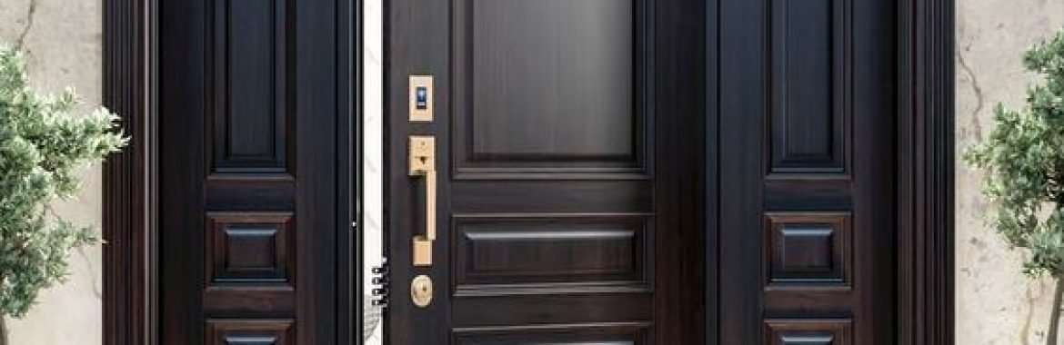 Black Doors Exterior Front Entry With Side Lights Ideas